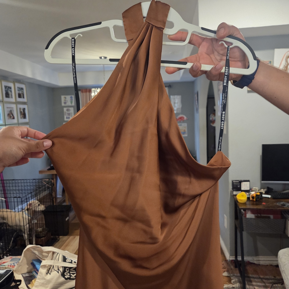 Birdy Grey Rust Dress - Picture 4 of 5